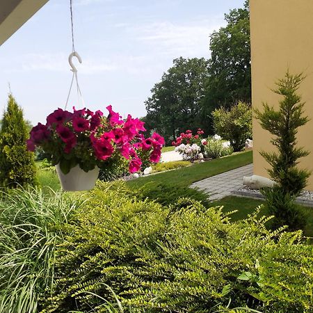 Villa Casa Sol-Rural Residence Near Linz Katsdorf Exteriör bild